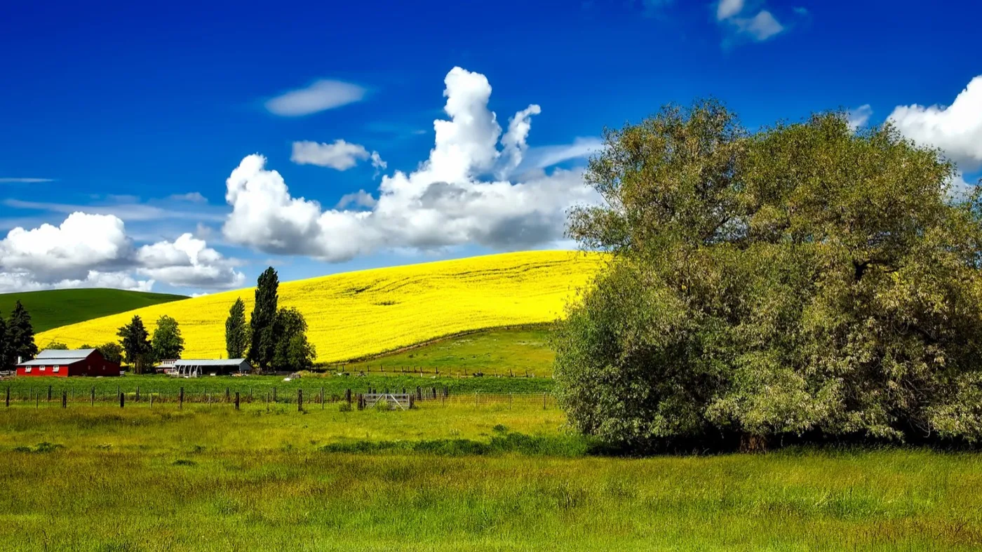 Impression aus Idaho