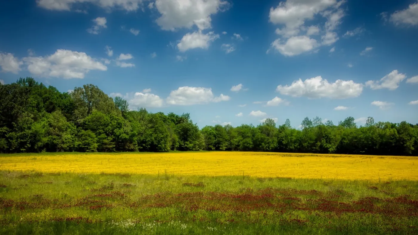 Impression aus Mississippi