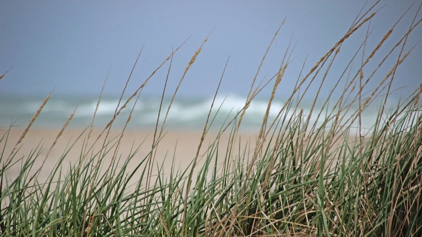 Impression aus Rhode Island