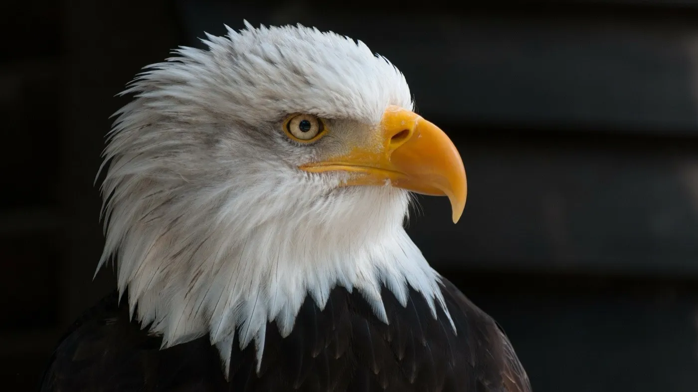 Impression aus USA