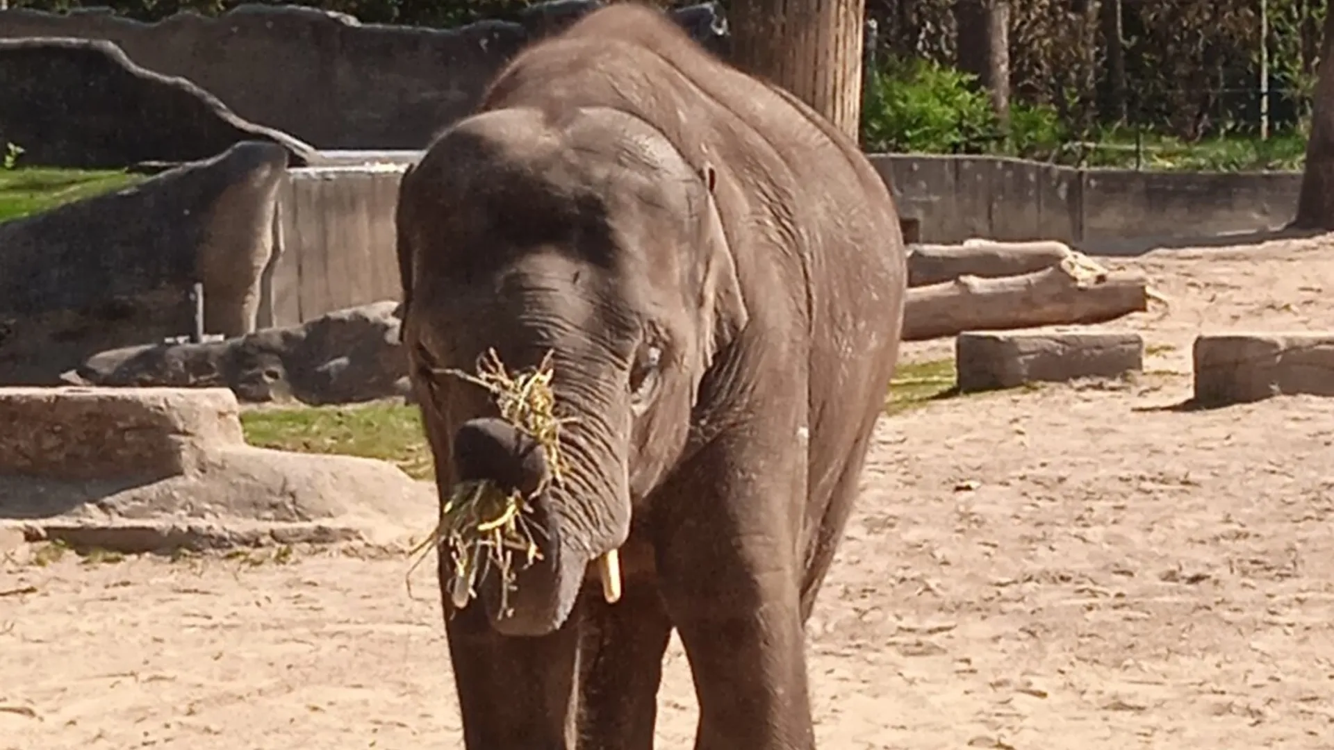 Besuch im Tierpark Hagenbeck (Bild 3 von 10)