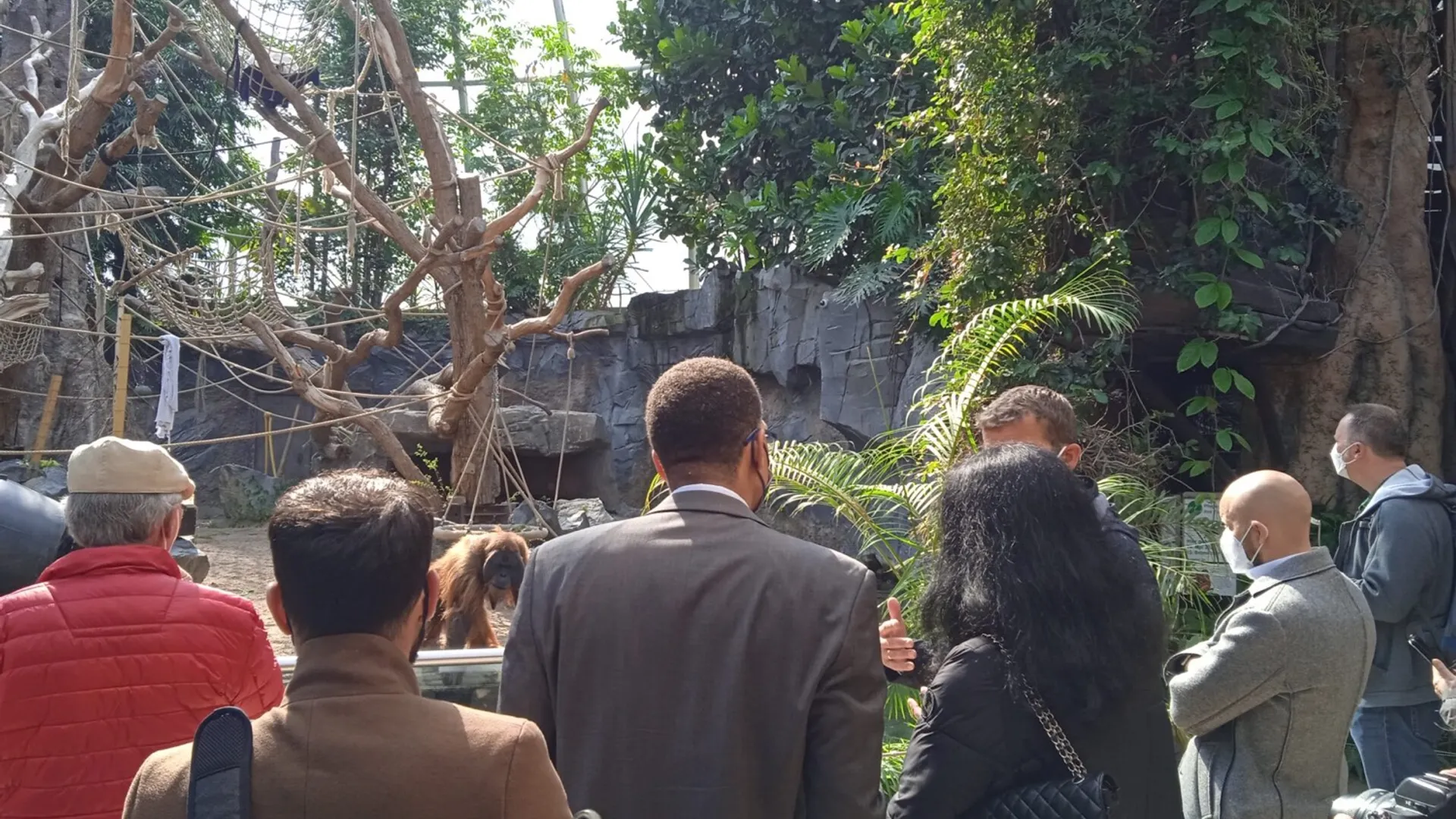 Besuch im Tierpark Hagenbeck (Bild 4 von 10)