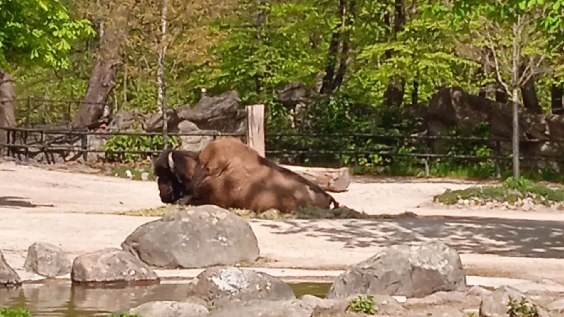 Besuch im Tierpark Hagenbeck (Bild 7 von 10)